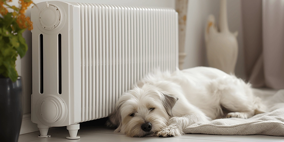 Remplacer sa chaudière au fioul : les aides disponibles