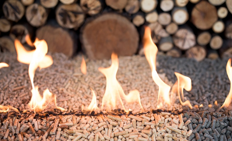 Les différents types de bois de chauffage | Maguy