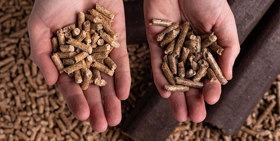 Meilleur moment pour acheter des pellets